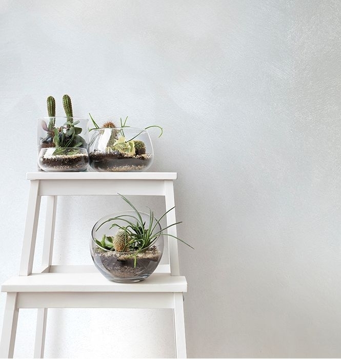 WATER-BASED PAINTS AND COATINGS